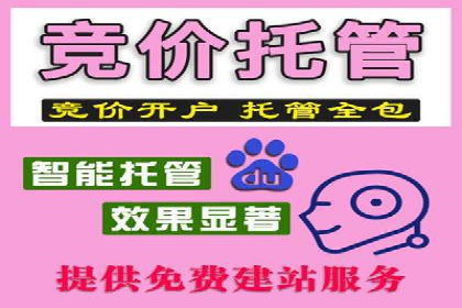 百度推广与SEO结合的营销策略案例分享